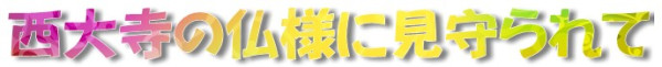 スクリーンショット 2024-05-20 174103